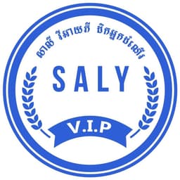 Saly VIP logo